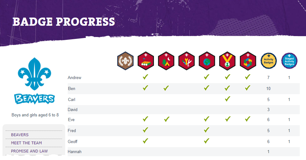 OSM Badge Progress
