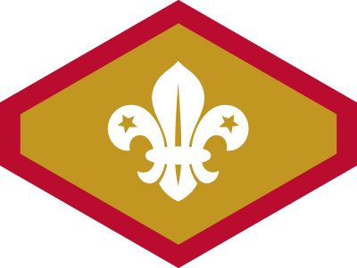 Scout Challenge Awards
