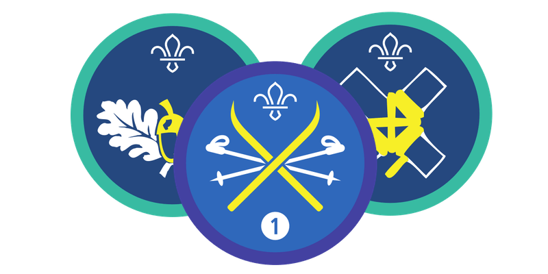 Badges & Awards
