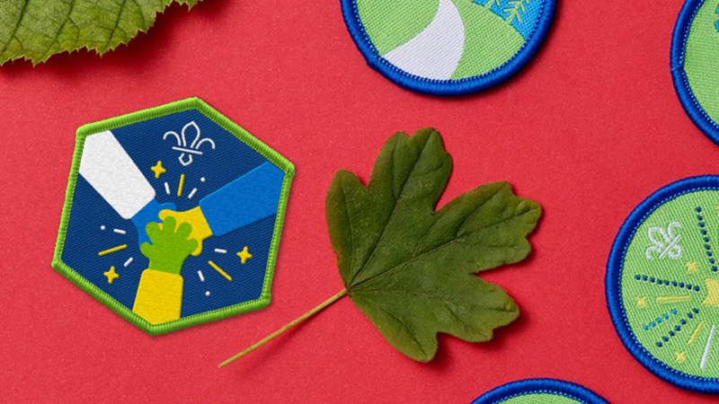 Badges & Awards