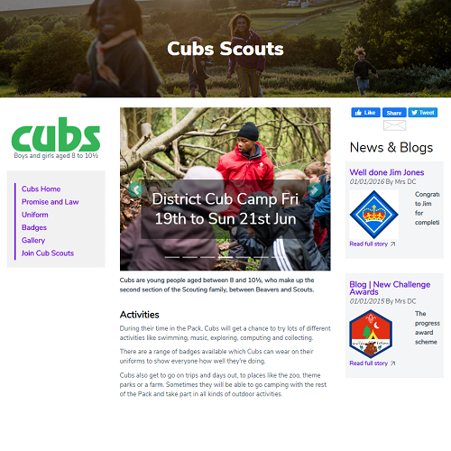 Cub Camp Banner