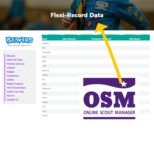 OSM Flexi Record