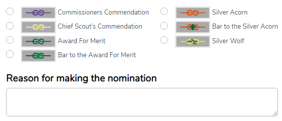 Adult Award Nomination Form