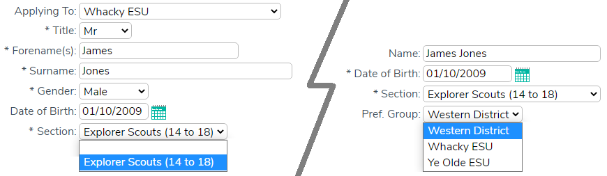 Contact Form Sections