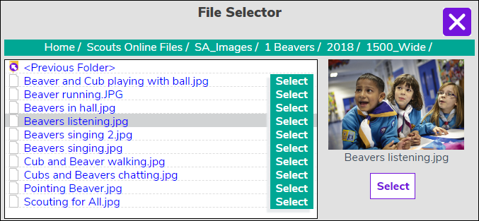 File Selector