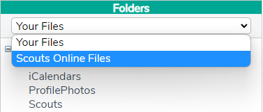 Add Scouts Online Files