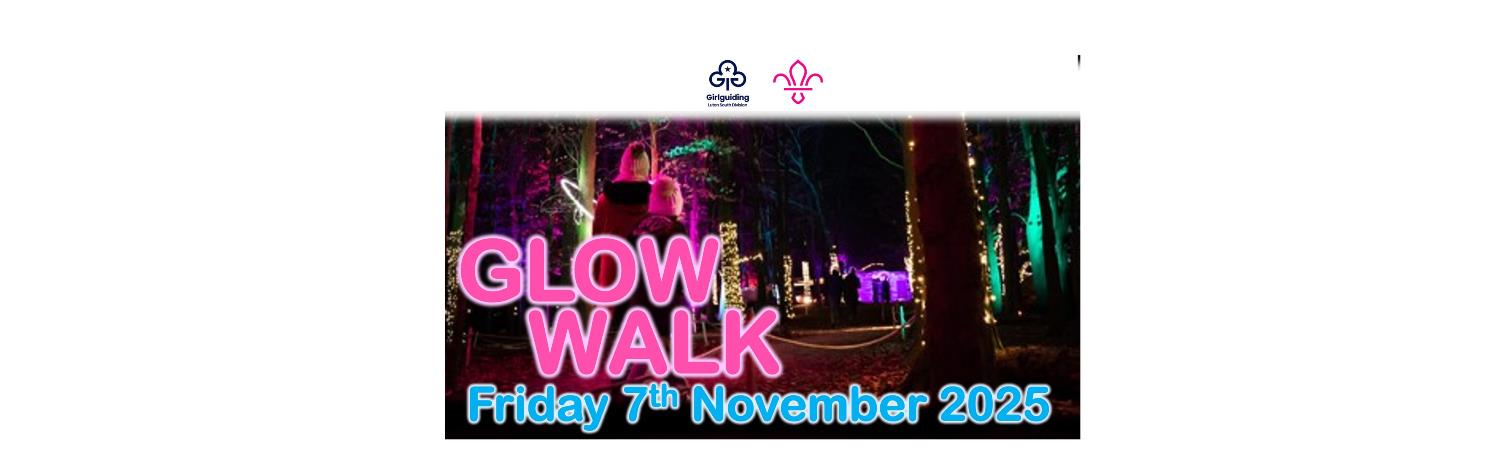 Illuminated Woodland Walk