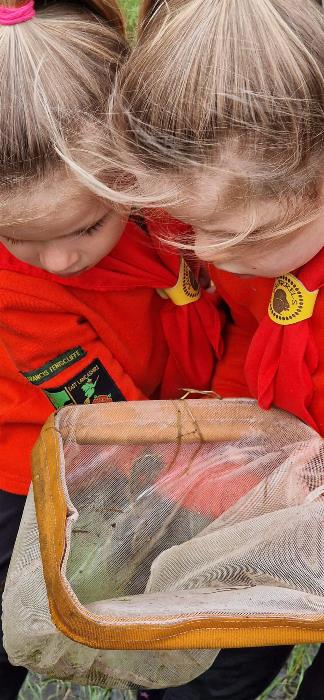 District Beavers and Squirrels Fun Day