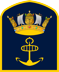 RN Badge