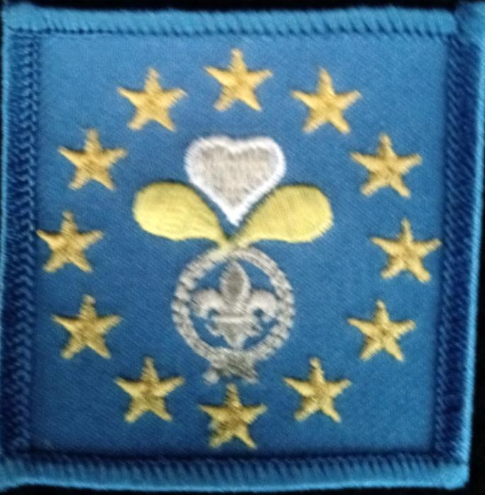 (A) Expat scouts First aid leaders